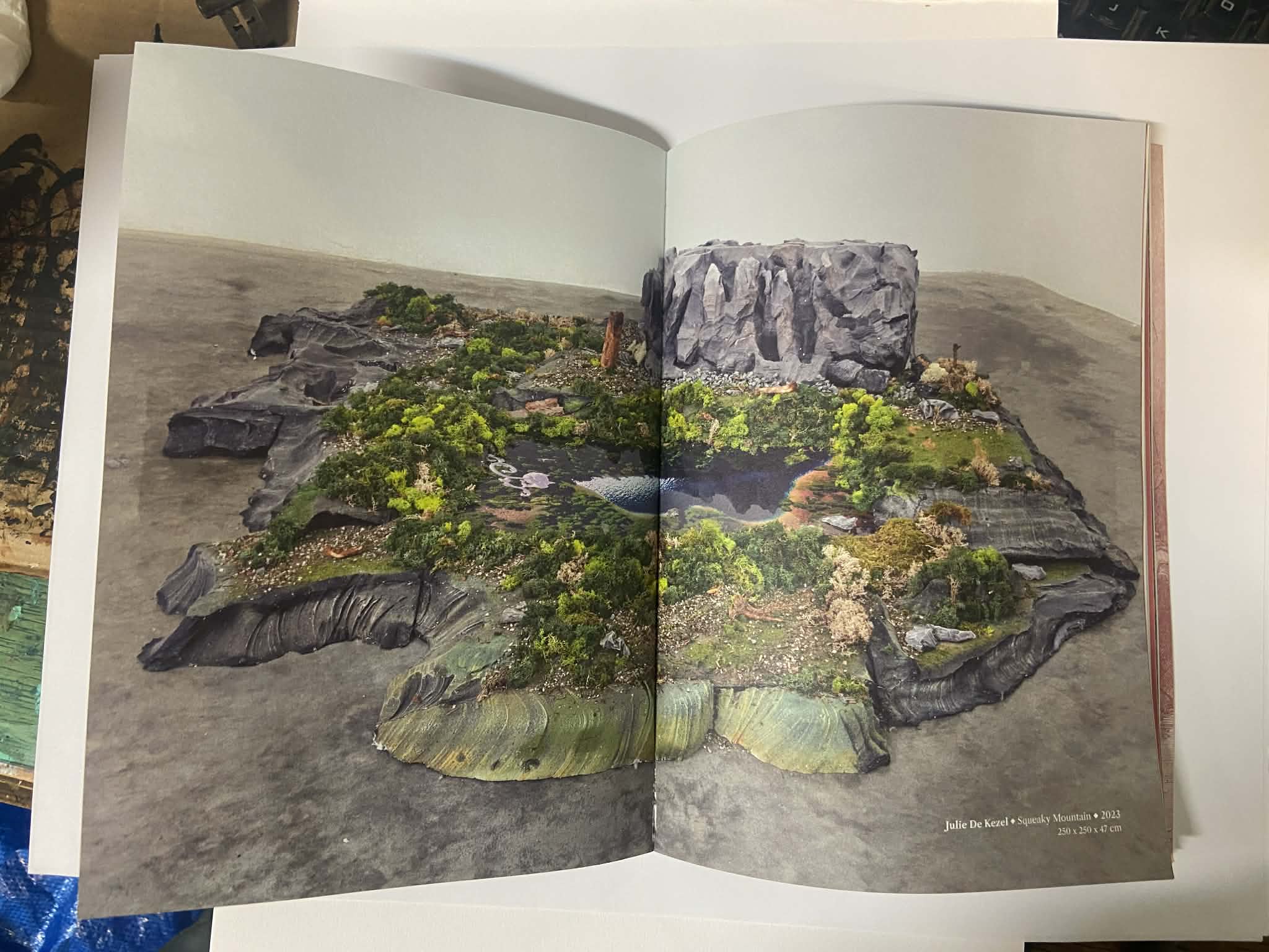 Publication photograph 1