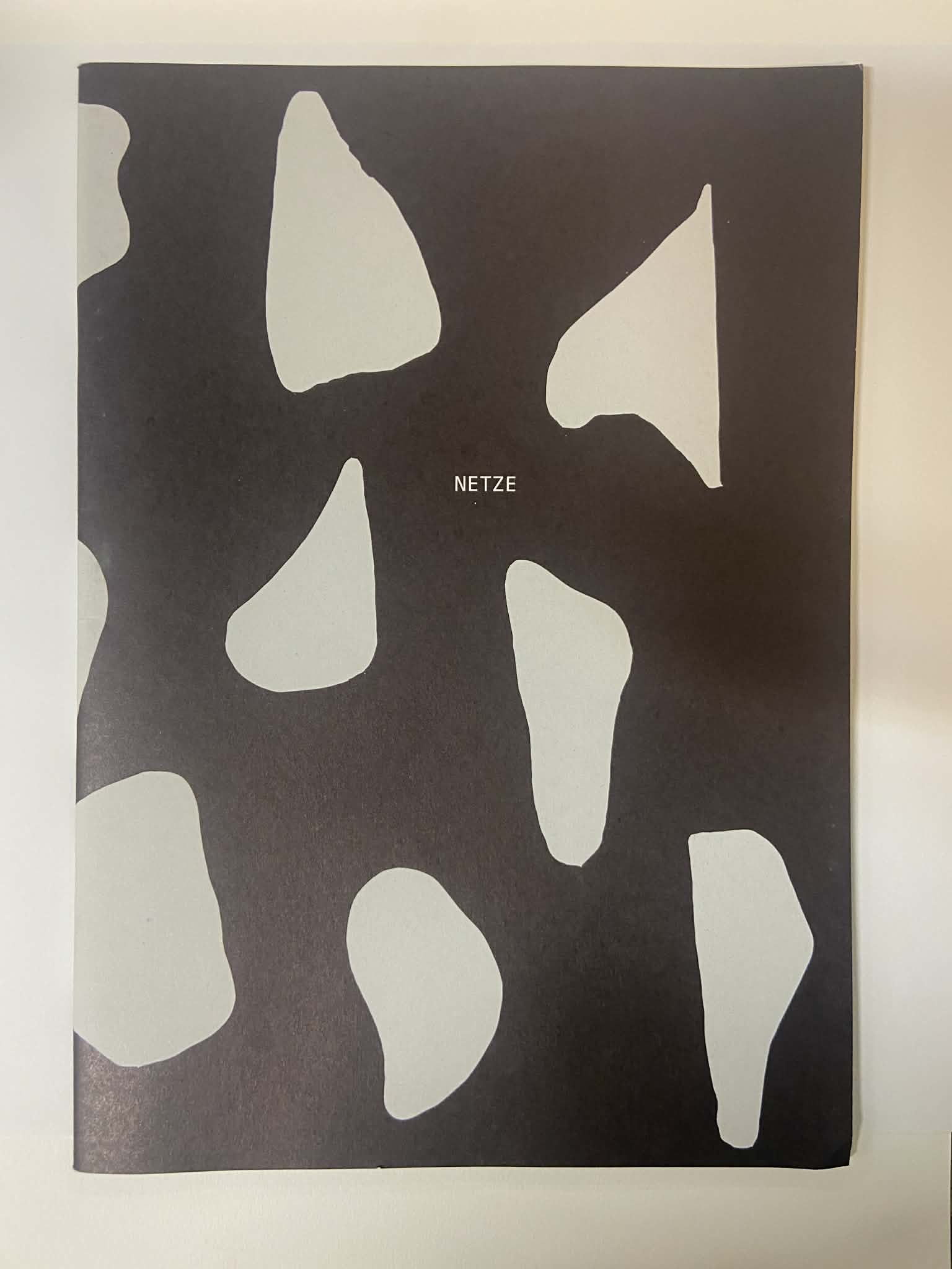 Publication photograph 5