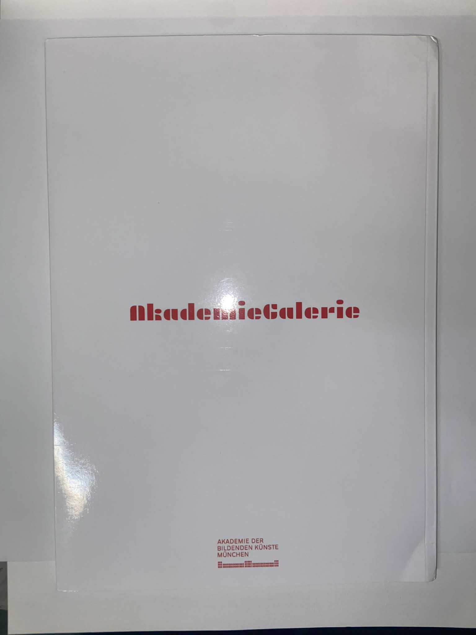 Publication photograph 8